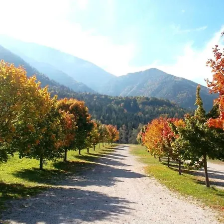 Apartment Sonnenblick