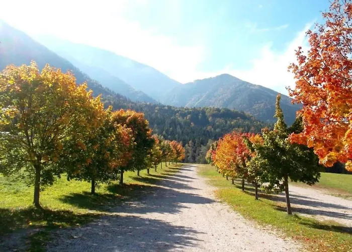 아파트 Sonnenblick